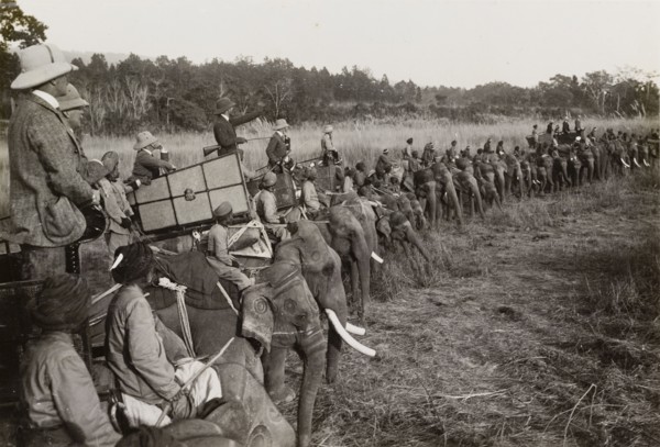 Portion of the ring'. A royal hunting party in Chitwan Valley, hosted by the Maharajah of Nepal for