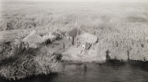 Settlement in the sudd. A tiny settlement consisting of round, thatched huts, located on a