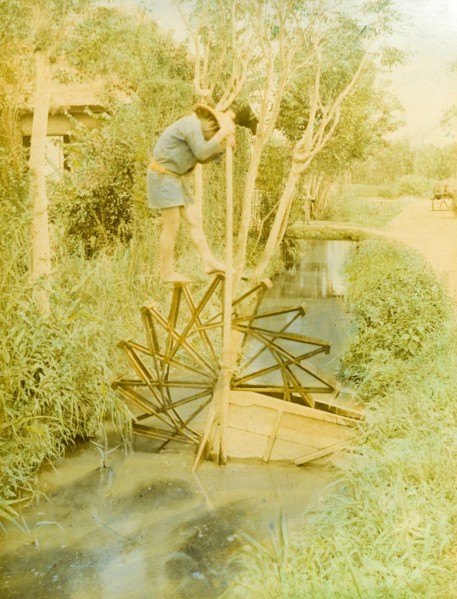 Japanese water wheel. A Japanese man treads the paddles of a wooden water wheel as he raises water
