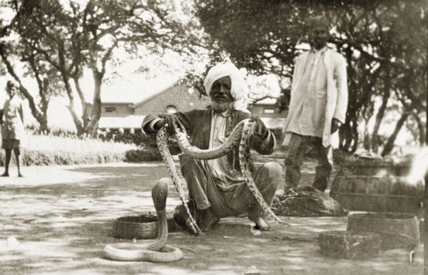 Snake charmer with a python and cobra. An Indian snake charmer squats on the ground, proudly