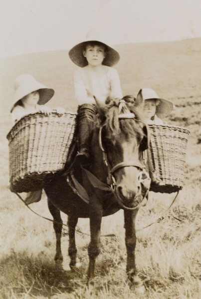 Lawrence children on a pony ride. The children of Phyllis and Sir Henry Staveley Lawrence (a