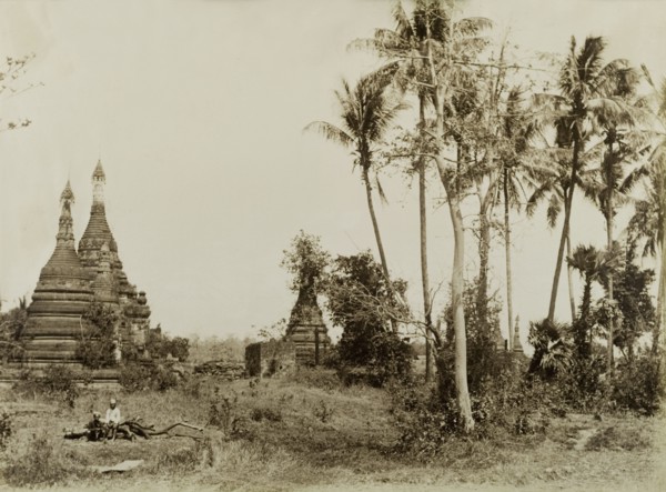 Deserted shrine at Wuntho. Several carved stone 'zeidis' or pagodas emerge from the undergrowth at
