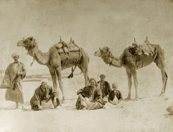 Camel riders near the Suez Canal. A group of Egyptian men and a boy rest with their camels near the