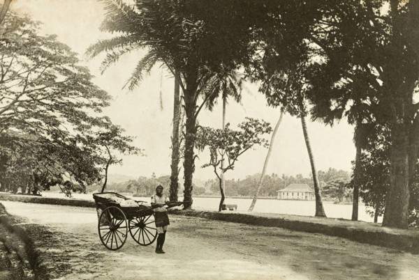 A rickshaw driver in Colombo. A rickshaw driver pulls his cart along a seafront road. Colombo,