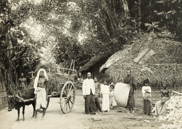 Ceylonian village road. A group of Ceylonian men and children in traditional dress stand on a