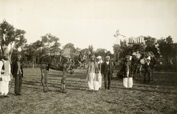 Afghan camel drivers. Afghan camel drivers prepare to welcome the Duke and Duchess of Cornwall and