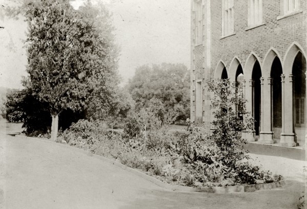 The grounds of Government House, Perth. An arched colonnade in the grounds of Perth's Government