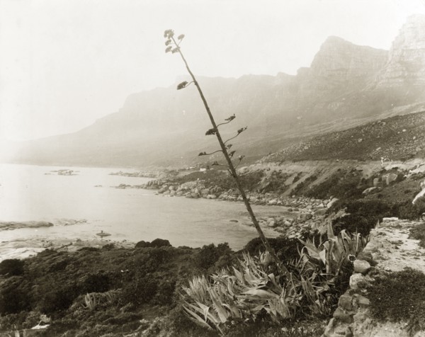 Camps Bay, Cape Town. View over Camps Bay with the Twelve Apostles Mountain Range in the distance.