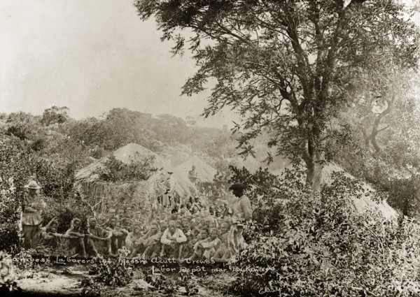Acutt and Crewes labourers. A number of hired labourers sit on the ground in a scrubland clearing