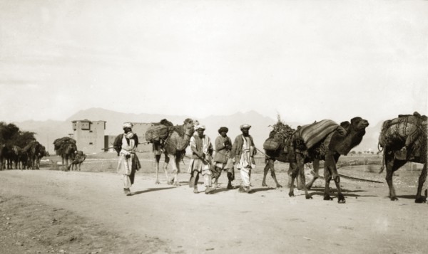 Driving camels along the Khyber Pass. Indian men drive camels laden with bundles of supplies past a