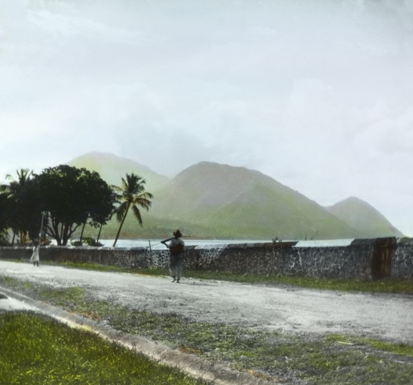 The mountainous coastline of Dominica'. A man carrying a fishing rod walks along a coastal road