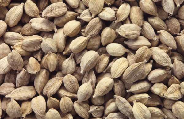 Cardamom pods. Cardamom (Cardamomum) is a pungent, aromatic spice with two species (Elettaria and