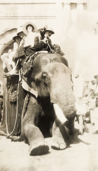 Europeans take an elephant ride, India. A group of smiling European people sit in a howdah on the
