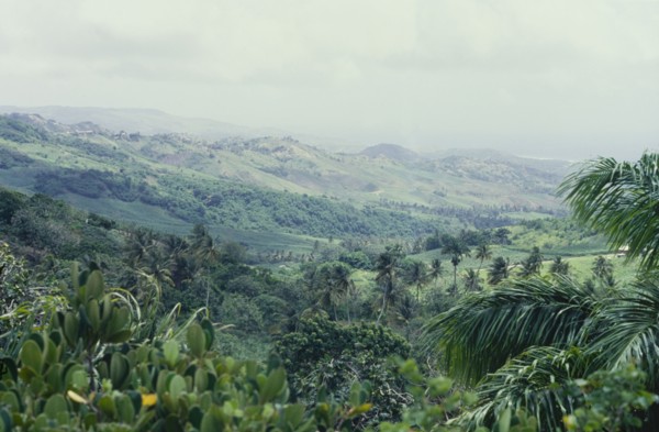 The highlands and forests of Barbados. View across some of the highlands and forests of Barbados,