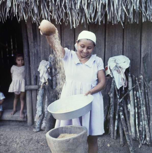 Separating the grain from the husk. A Ketchi woman pours rice from one bowl into another,