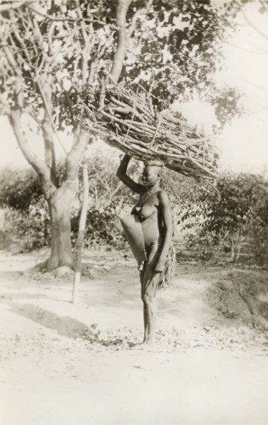 Fuel gatherer'. Profile shot of a semi-naked African woman. She stands, balancing a large bundle of