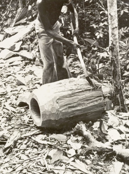 Shaping the shell of an atumpan drum. A craftsman uses an axe to roughly shape a section of timber