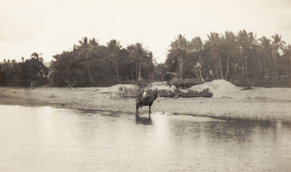 Crossing the Ozama River. A traveller on horseback crosses the Ozama River. Santo Domingo,