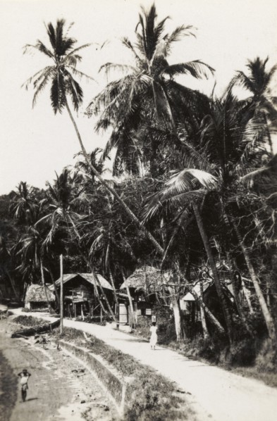 A small coastal settlement. Wooden huts line a beach path at a small coastal settlement. Trinidad