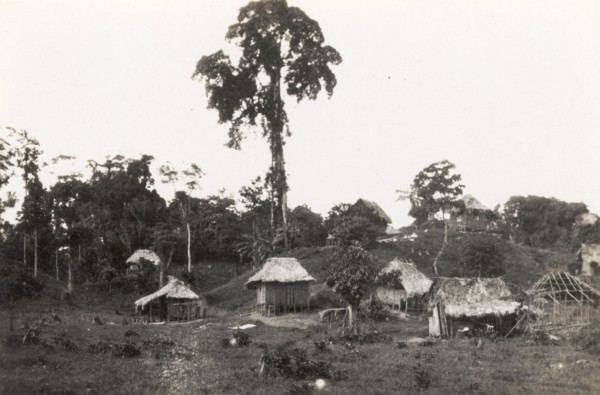 A rural village in the Caribbean. A number of small thatched huts on stilts dot the landscape in a