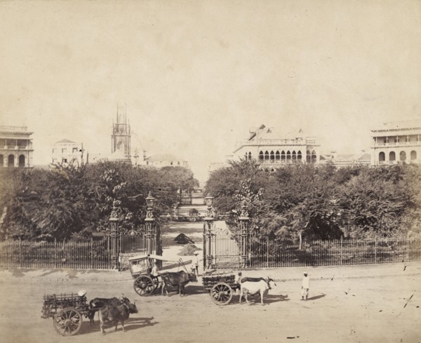 Entrance to the Horniman Circle Gardens. Cattle-drawn carts stand outside ornate iron gates at the