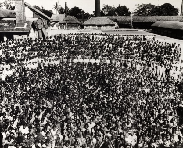 Steel Brothers' workforce. A huge group photograph of the largely Indian workforce at Steel