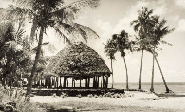 A traditional Samoan 'fale'. A traditional Samoan 'fale' (house) stands between palm trees on a