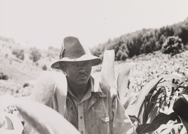 African man wearing a sun hat. An African man stands amongst vegetation in the Kenyan countryside,