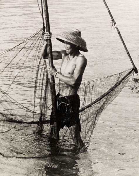 Fishing in shallow waters. A fisherman trawls his net in the shallow waters of a Hong Kong bay.