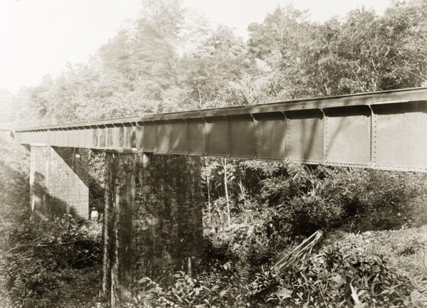 Railway bridge crossing Dabadie ravine, Trinidad. View of a Trinidad Government Railway bridge