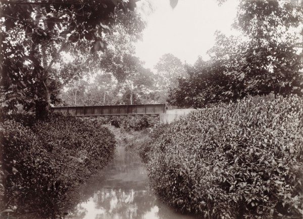 Railway bridge over Caparo River, Trinidad. View of extension railway bridge 'No. 29' crossing over