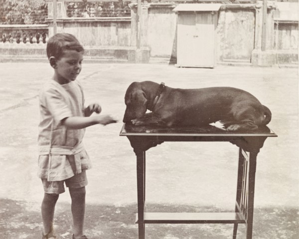 James Murray with pet dachshund. Six year old James Murray shows off his prize-winning dachshund,