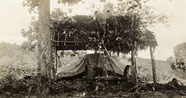 Building a garage, Tanganyika. Three African men construct a thatched roof for a garage, under