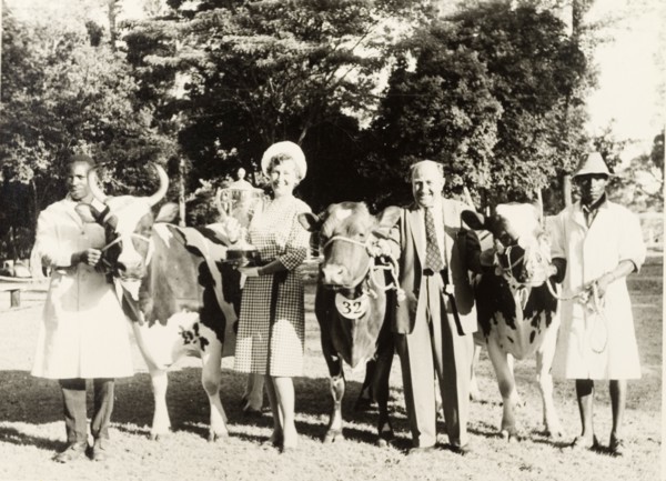 Ayrshire cattle at the Royal Show. Mrs Kit Robathan and Mr Richie Barbour pose with prize-winning