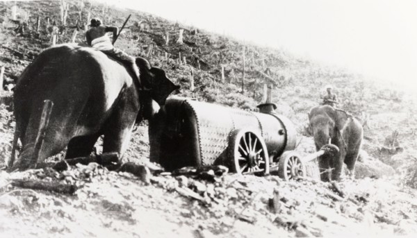 Elephants hauling a locomotive boiler. Two elephants haul a wheeled locomotive boiler up a