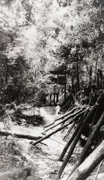 Elephant kraal, Ceylon. View along the stockade of an elephant kraal (enclosure), into which wild