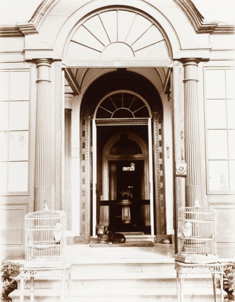 Porch of a grand, colonial house. The grand, pillared entrance to a colonial household. A pet dog