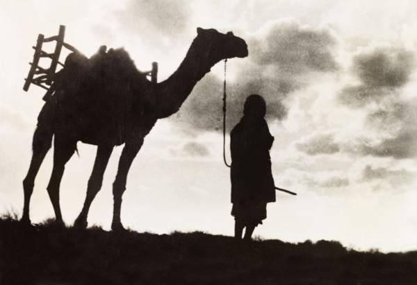 Silhouetted man and camel. The figure of a Arab man leading a camel along a ridge is silhouetted in