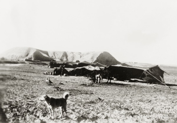 Bedouin tents in the Judean desert'. A bedouin camp site in the Judean desert. Judea, British