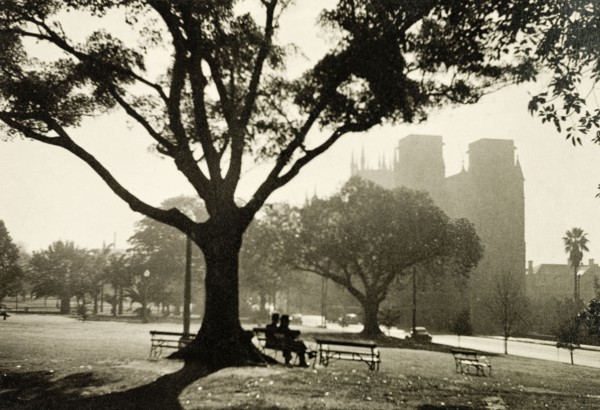 Hyde Park, Sydney. View of Hyde Park in Sydney, looking west towards the central business district.