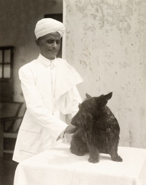 One in a Thousand'. Portrait of an Indian head bearer named Bal Singh, employed by British