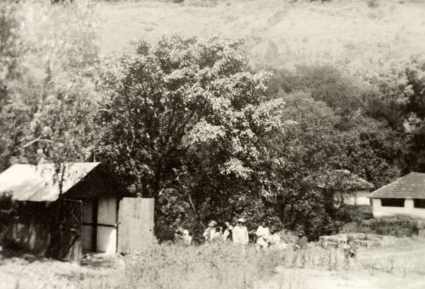 Maskal Maradi' coffee estate. View of 'Maskal Maradi' coffee estate in the mountains of Chikmagalur