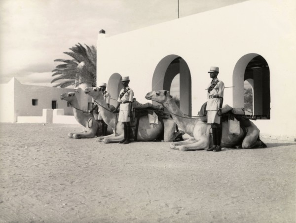 Raqub camel section of the Kenya Police. Three uniformed officers of the mounted Raqub camel