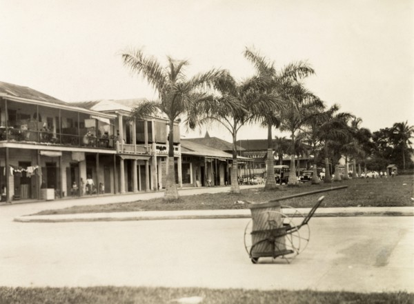 A residential street in Colon. A patch of grass flanked by palm trees leads up to a residential