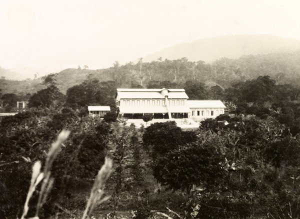 A coffee processing factory. A processing factory in the middle of a coffee plantation. Probably