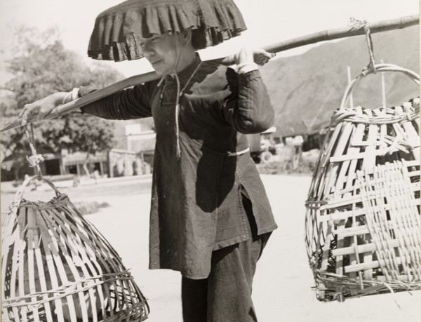 Transporting chickens in Hong Kong. A Chinese woman carries chickens in baskets hung from a pole