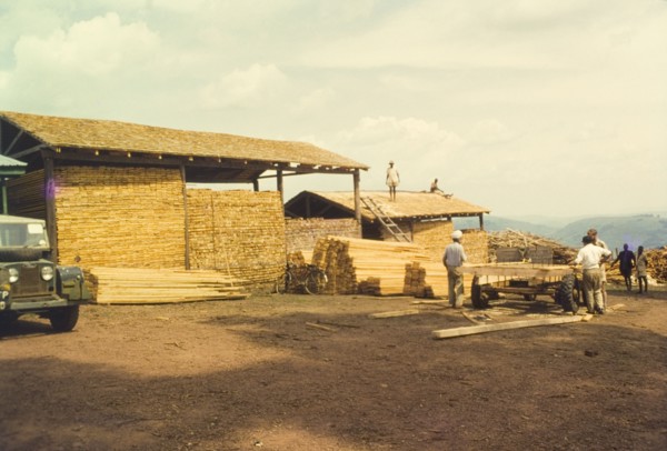 Produce from Mafuga sawmill. Planks and lengths of processed timber are stacked high in open sheds