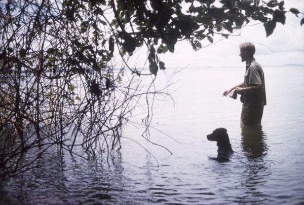 Beware of hippo'. Accompanied by his dog, District Forest Officer James Lang Brown wades