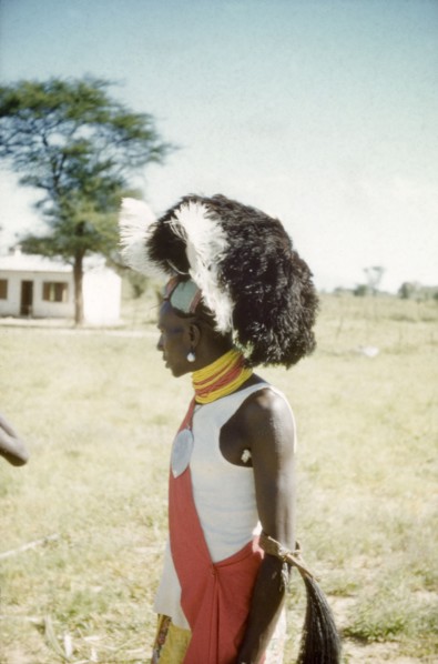Karamojong dancer with headdress. Profile portrait of a Karamojong dancer at the Nabilatuk County