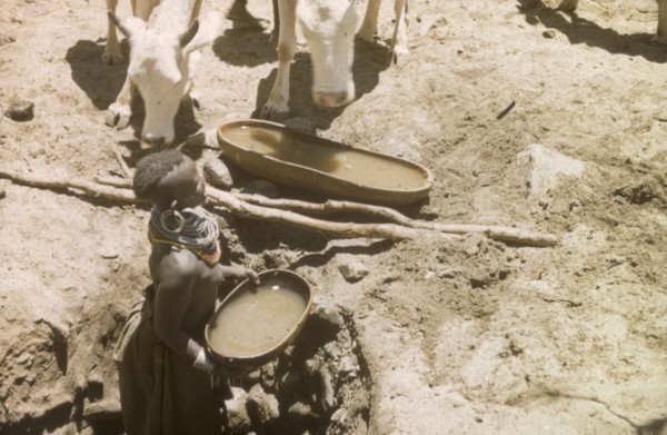 Waterhole in Mbaru. A young Suk (Pokot) woman lifts a large gourd full of water from a waterhole to
